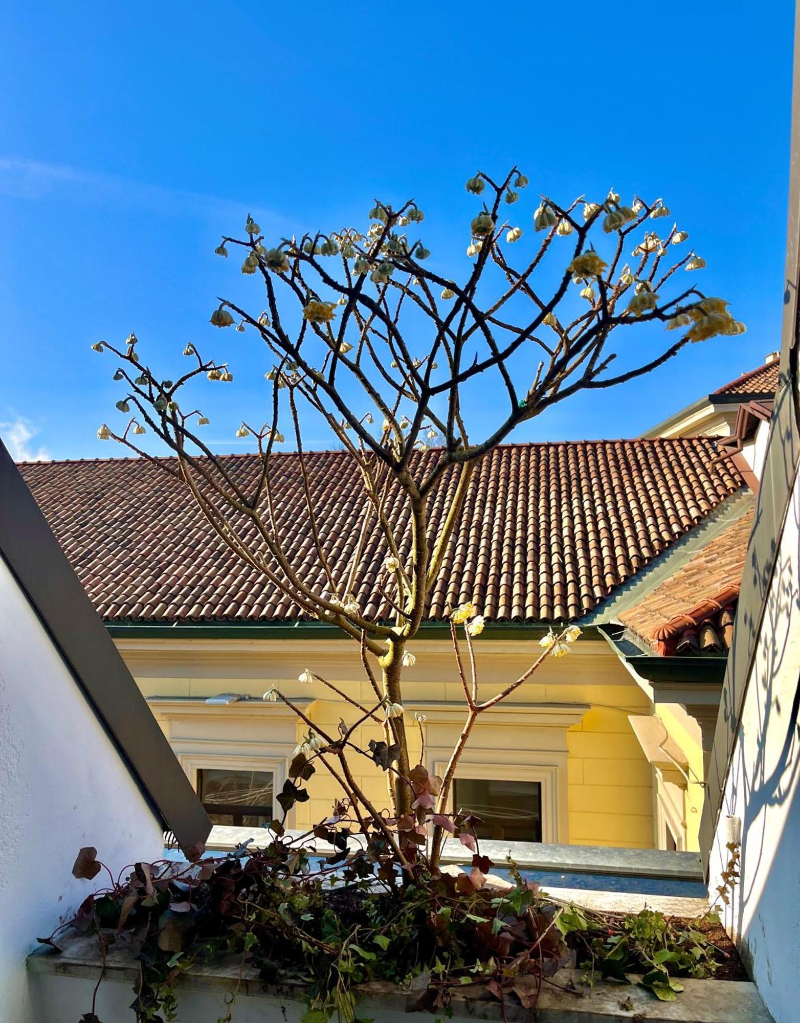 Luxury Loft Apartment Milano Exterior foto